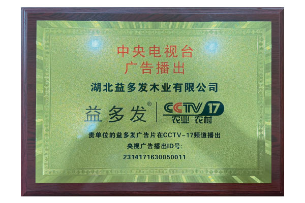 CCTV Authorized Brand