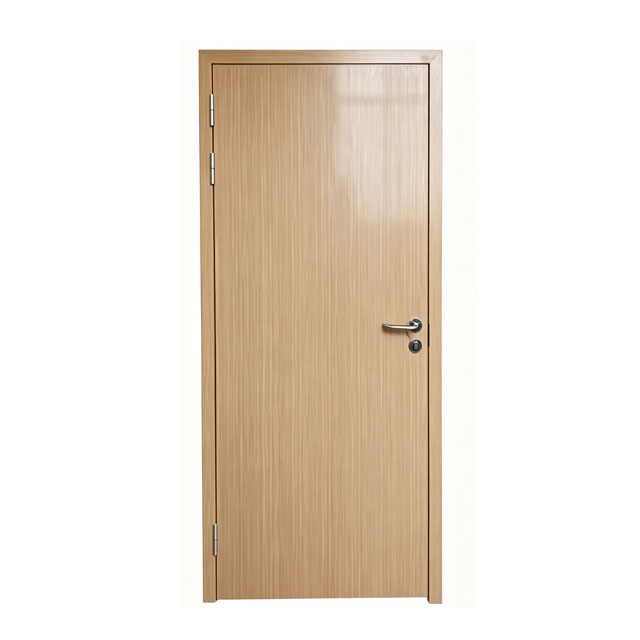 High Quality Steel Fire Door Commercial with Thermal Insulation and Modern Design for Retail and Office Buildings